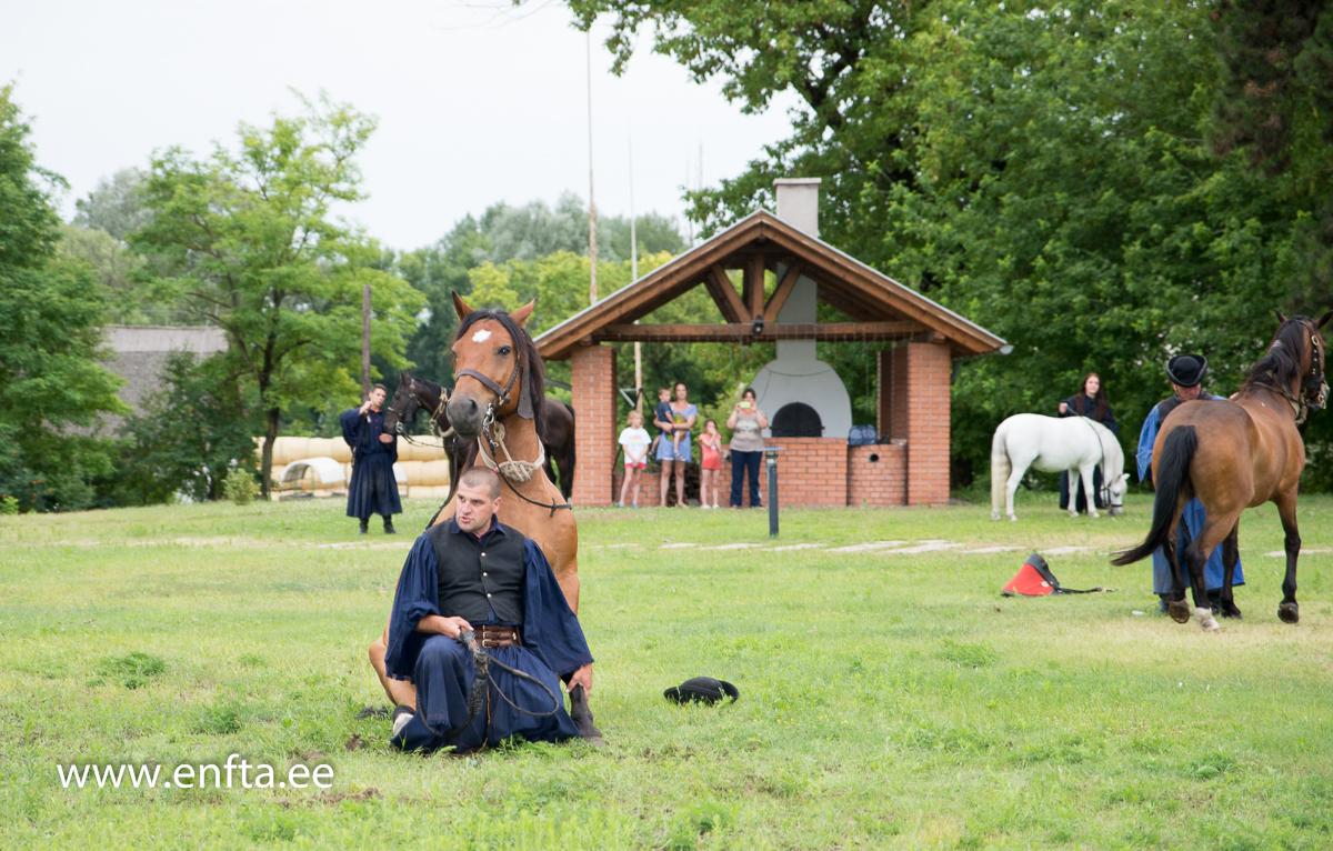 EFTC 2016 in Hungary